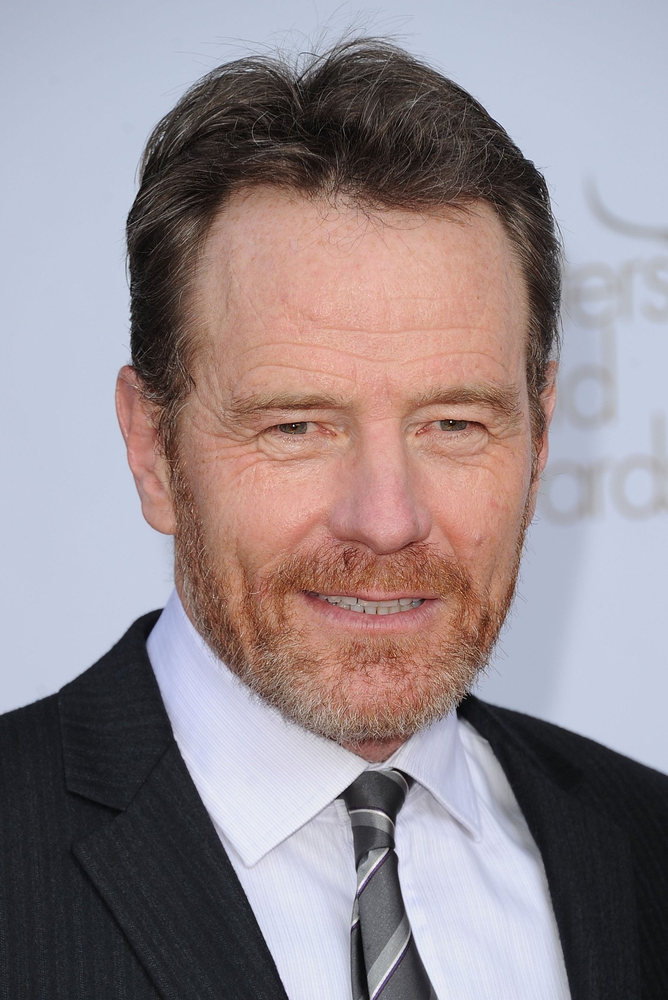 Bryan Cranston — On the Red Carpet