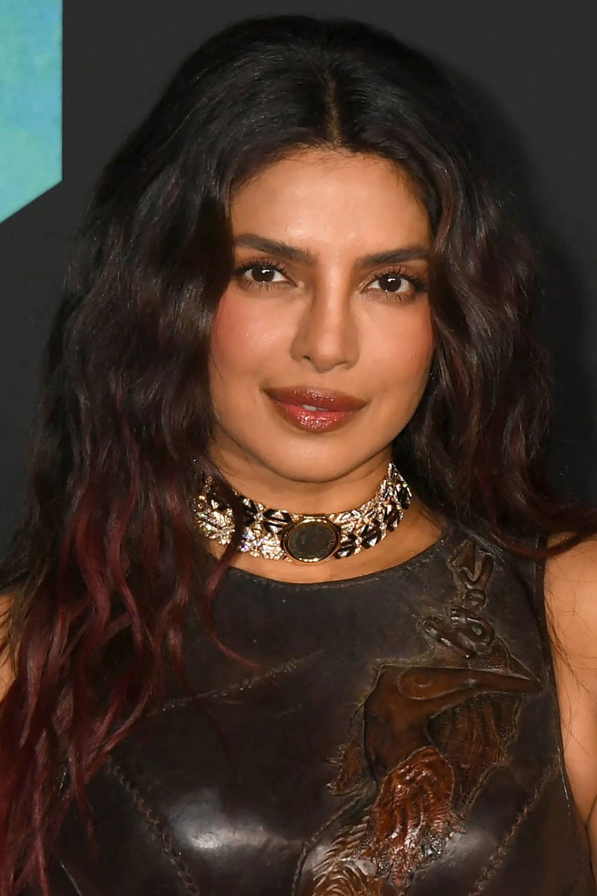 Priyanka Chopra — Screen & Red Carpet